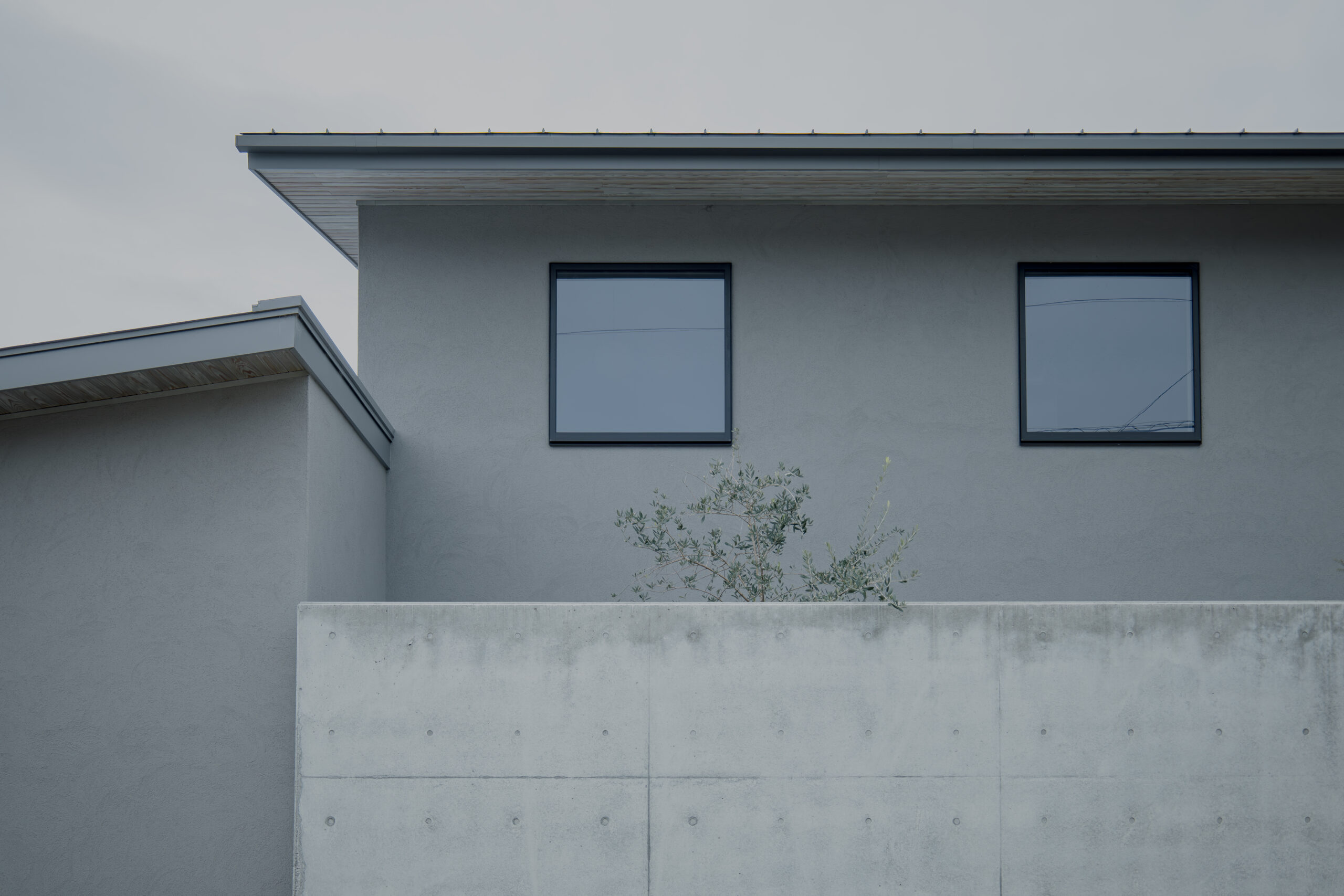 画像:美術館に住まう